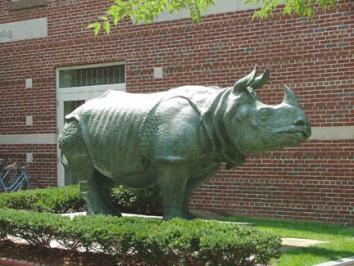 Rhinoceros, Weems
